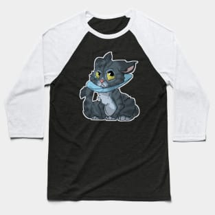 Cat in cone Baseball T-Shirt